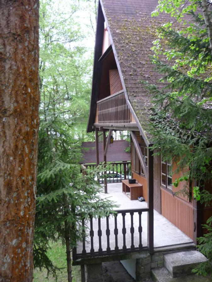 Dowcien Villa Burdeniszki Bagian luar foto